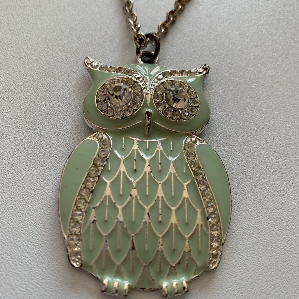 Elegant Owl Pendant Necklace